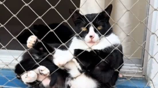 Reprodução// TikTok @mayaratxs