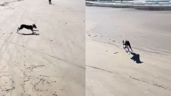 Reprodução// TikTok @serena.furacao