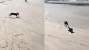 Reprodução// TikTok @serena.furacao