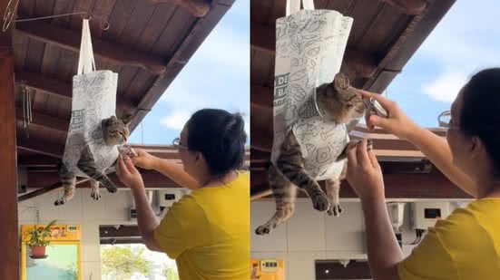 Reprodução// TikTok @ingretoliveira