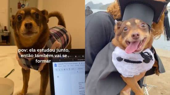 Reprodução/TikTok @akacampux
