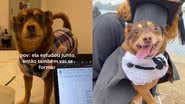 Reprodução/TikTok @akacampux