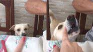 Reprodução/TikTok @vivibahiaa