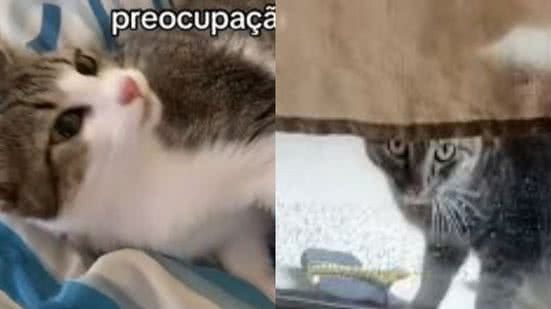 Reprodução/TikTok @larissaporto02