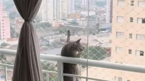 Reprodução/TikTok @explore.comigo