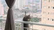 Reprodução/TikTok @explore.comigo