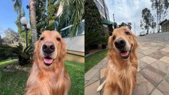 Reprodução// TikTok @isadorapezzi