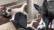 Reprodução//TikTok @cacau_e_zaya