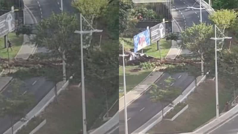 Reprodução/Bnews
