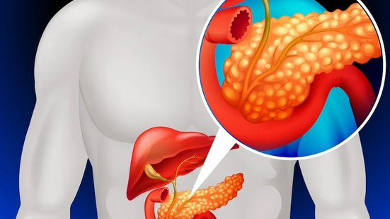 Reprodução/Freepik