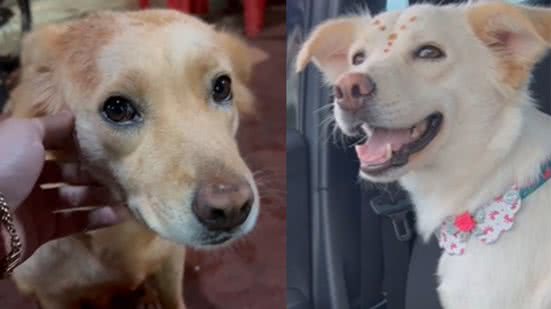 Reprodução / Redes sociais