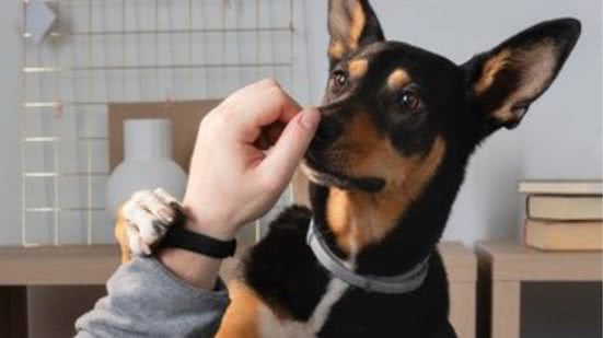 Ilustrativa / FreePik