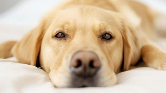 Ilustrativa / FreePik