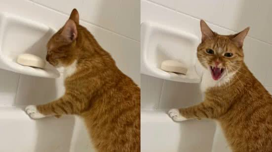 Reprodução / Instagram