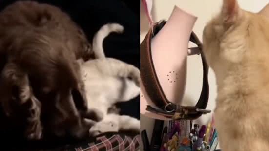 Reprodução / Instagram