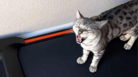 Reprodução / Redes sociais