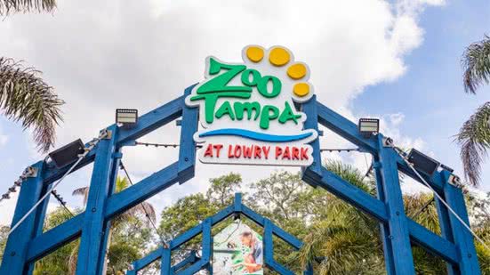 Reprodução / Redes sociais / ZooTampa