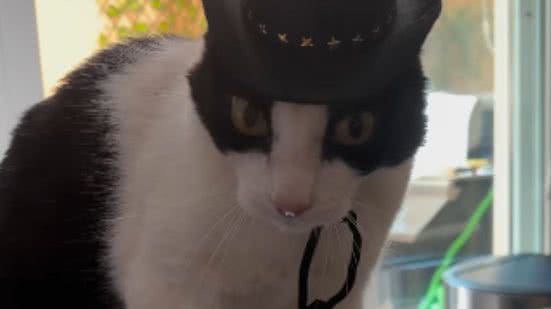 Reprodução / Instagram