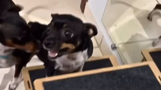 Reprodução / Instagram