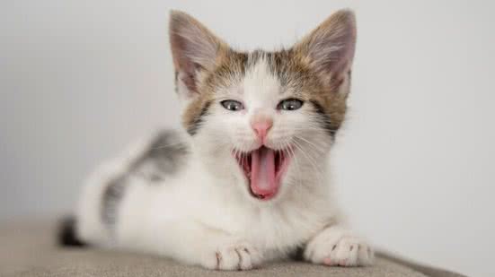 Ilustrativa / FreePik