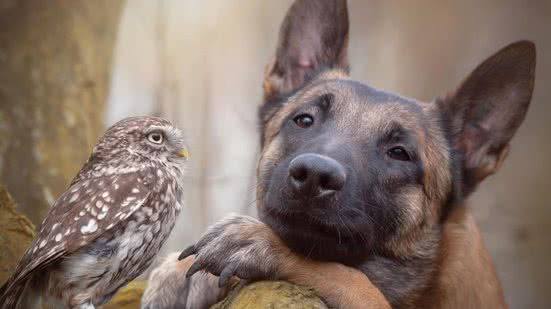 Reprodução / Instagram @tanja_brandt