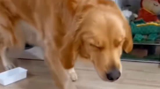 Reprodução / Instagram