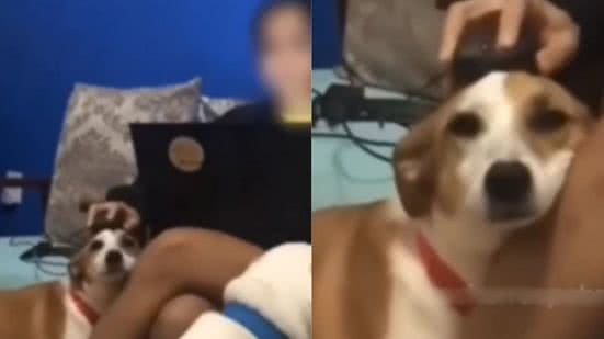 Reprodução / Redes sociais