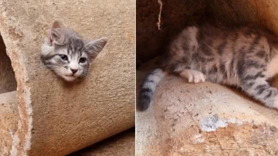 Reprodução / Corpos de Bombeiros Minas Gerais