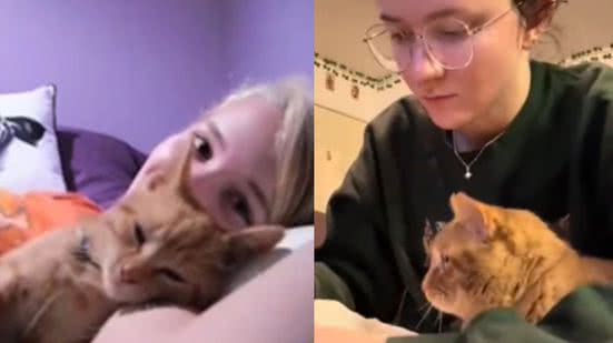 Reprodução / Vídeo