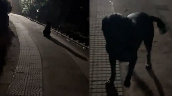 Reprodução / TikTok