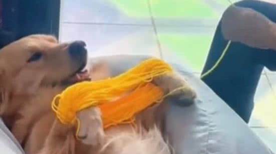 Reprodução / Instagram