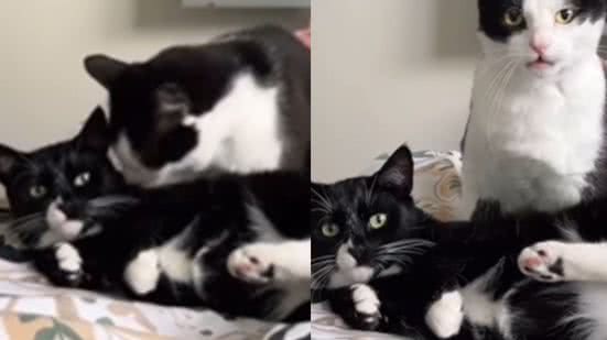 Reprodução / Instagram