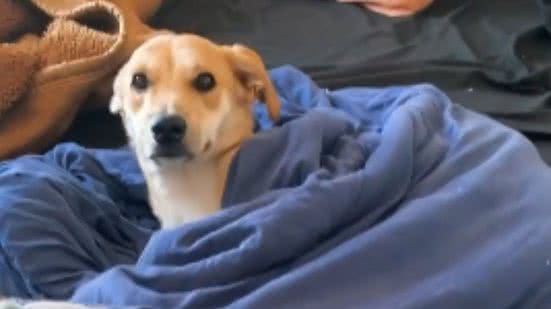 Reprodução / Instagram