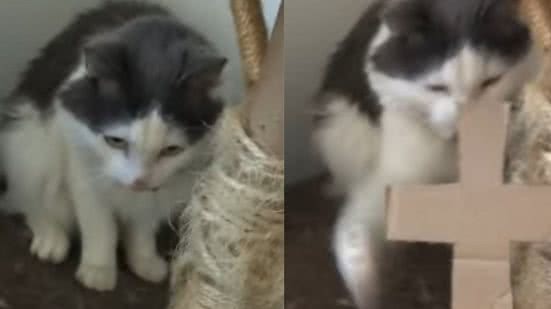 Reprodução / Instagram