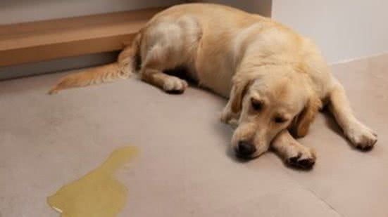 Ilustrativa / FreePik