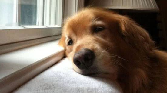 Reprodução / Pinterest @smithdaigle