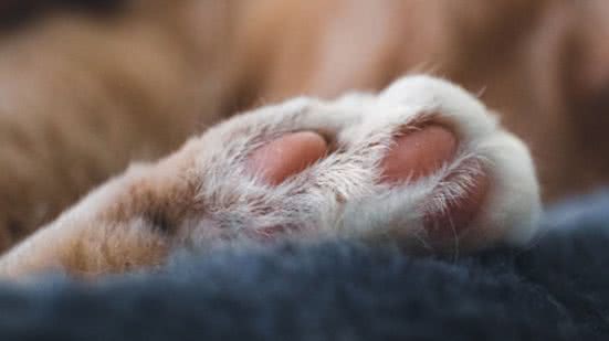 Reprodução / Instagram