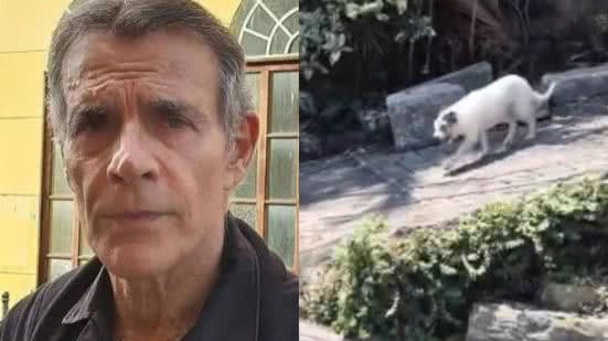 Reprodução / Instagram