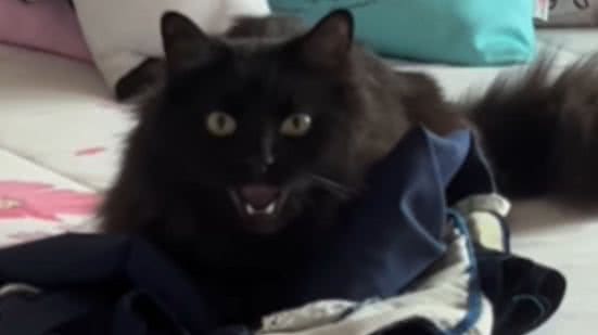 Reprodução / Redes Sociais