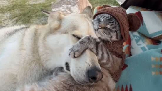 Reprodução / Instagram