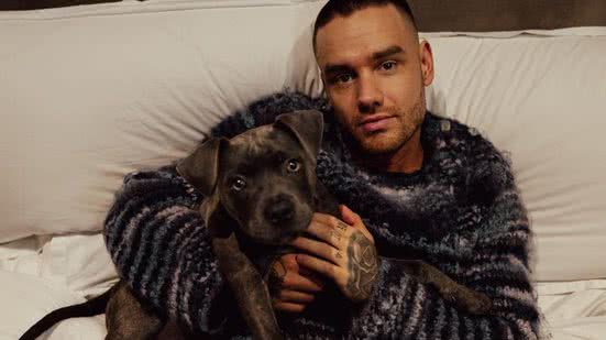 Reprodução / Instagram @liampayne