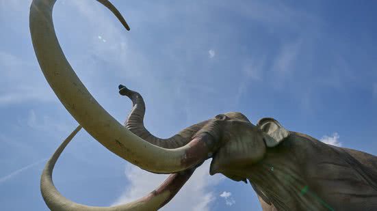 Imagem Cientistas querem trazer mamute de volta à vida antes de 2030; conheça "desextinção"