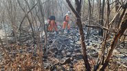 Divulgação/Corpo de Bombeiros