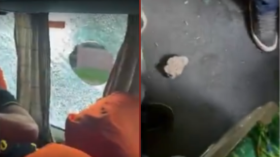 Reprodução / Video