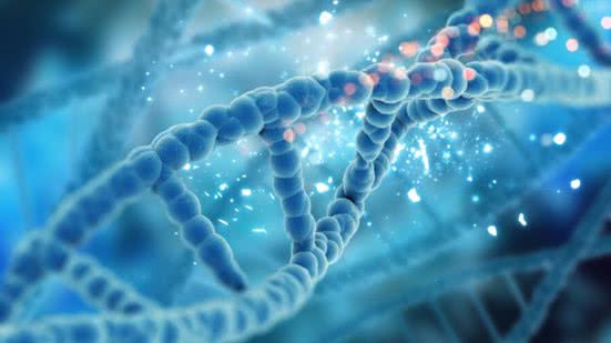 A estrutura foi importante para o desempenho da regulação genética de células do corpo humano - Divulgação/Freepik