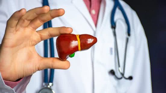 O doador era um homem de 59 anos, que teve morte encefálica e vivia em Vitória, no Espírito Santo. - Divulgação