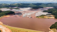Divulgação / Reprodução BBC News