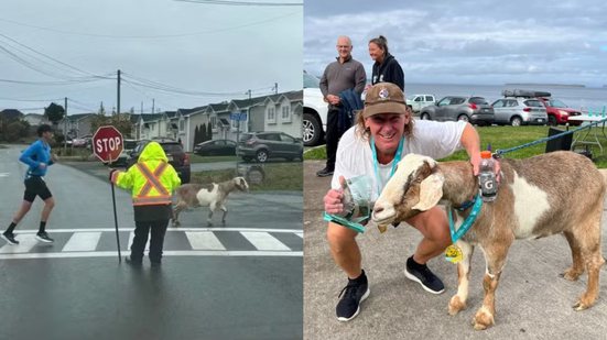 Reprodução/Facebook/Town of Conception Bay South