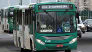 Rodrigo Vieira | Ônibus Brasil