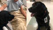 Divulgação/Cão Terapeuta Mel
